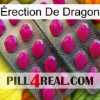 Érection De Dragon 10